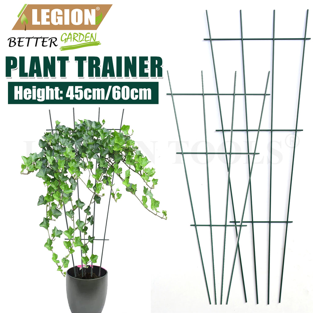 Fan Plant Trainer 45cm / 60cm