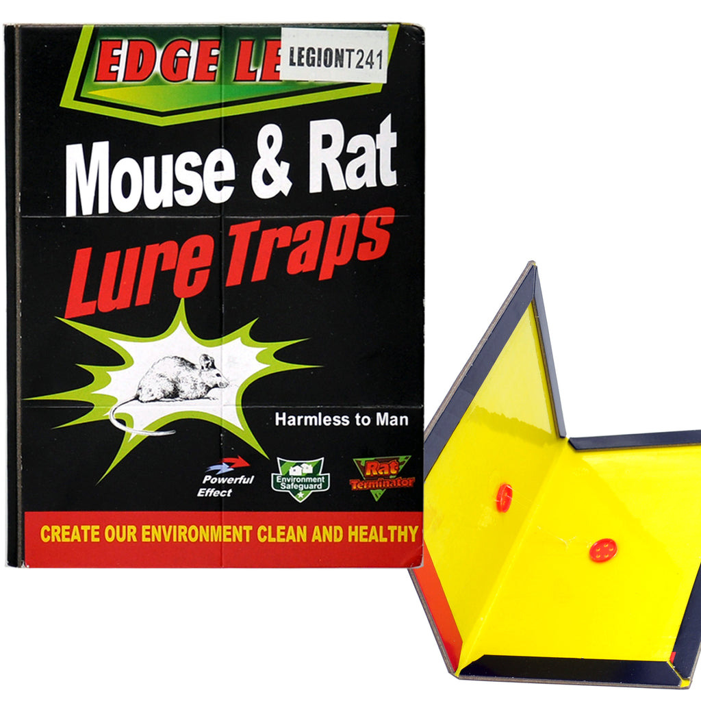 Mouse & Rat Glue Board Traps - Medium 32×21cm